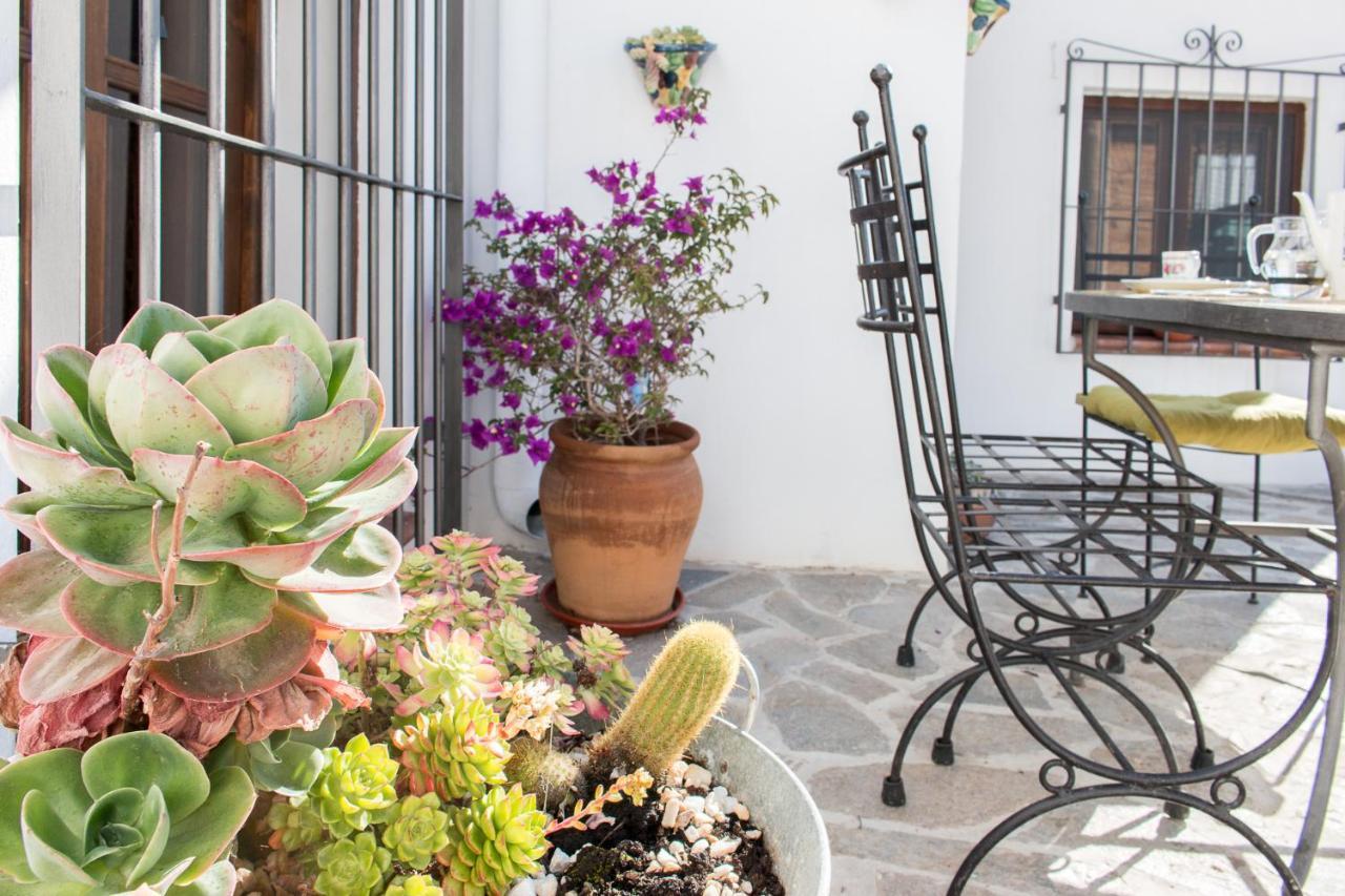 Villa Aurora Nijar Parque Natural Cabo Gata Eksteriør billede