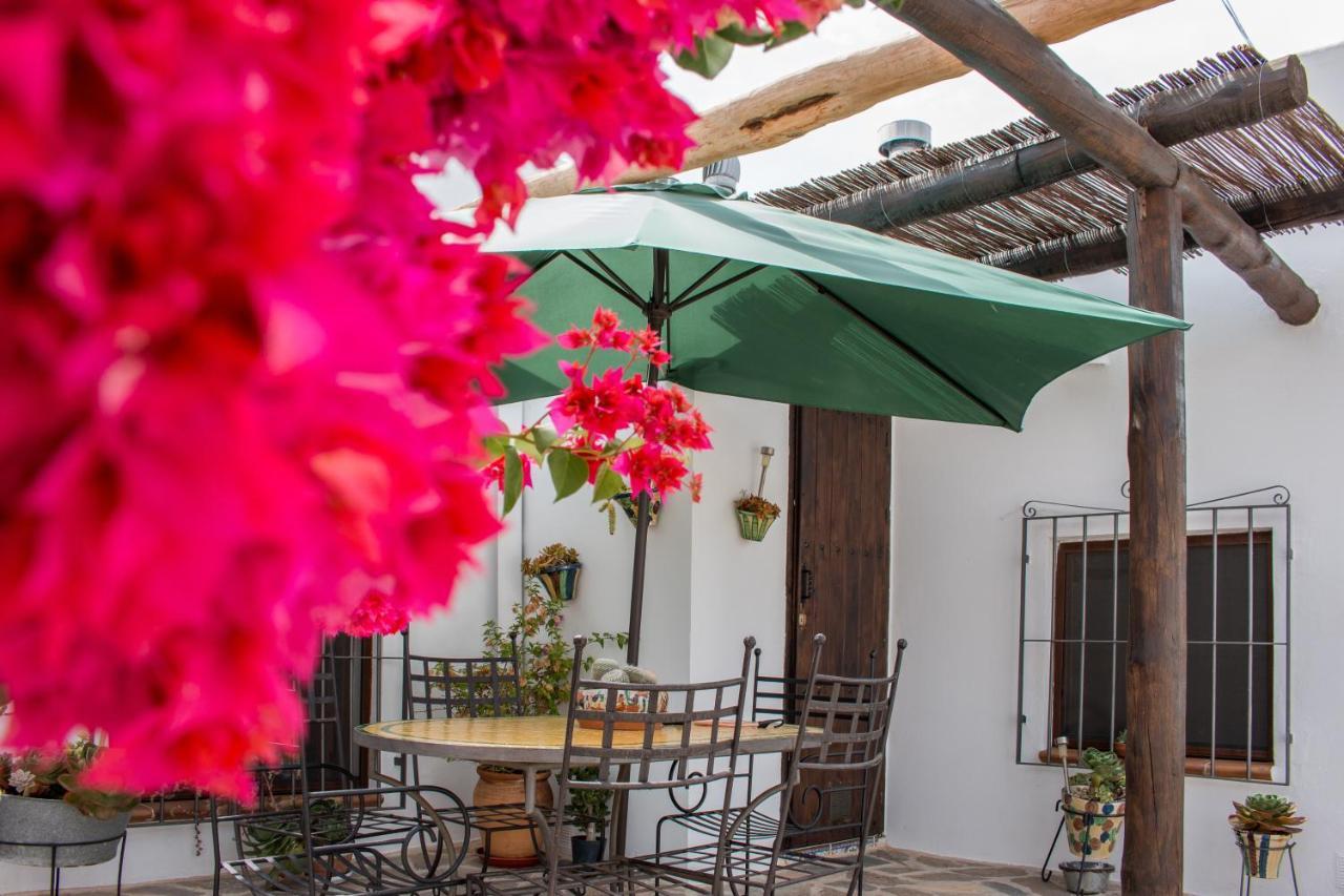 Villa Aurora Nijar Parque Natural Cabo Gata Eksteriør billede