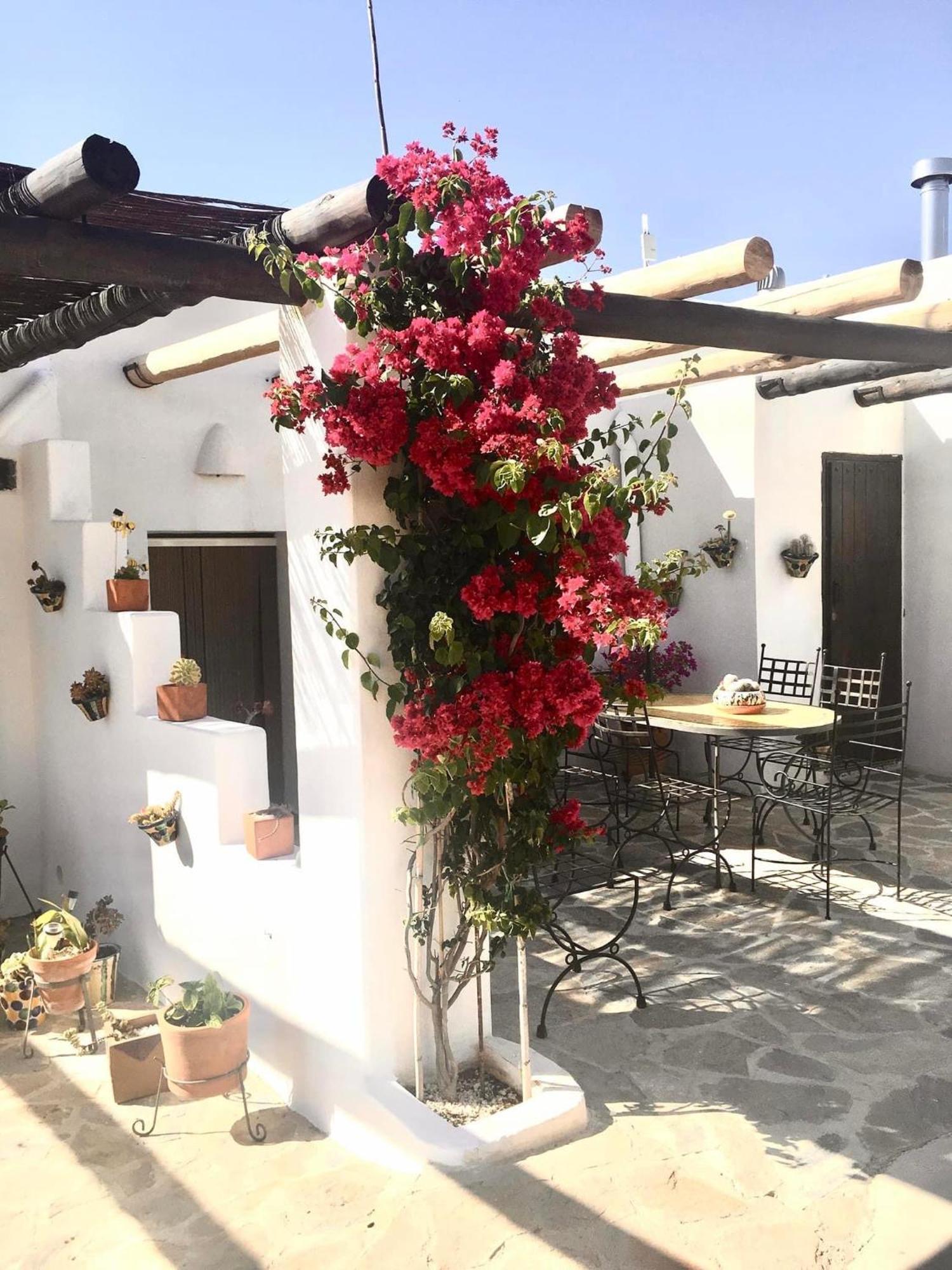 Villa Aurora Nijar Parque Natural Cabo Gata Eksteriør billede